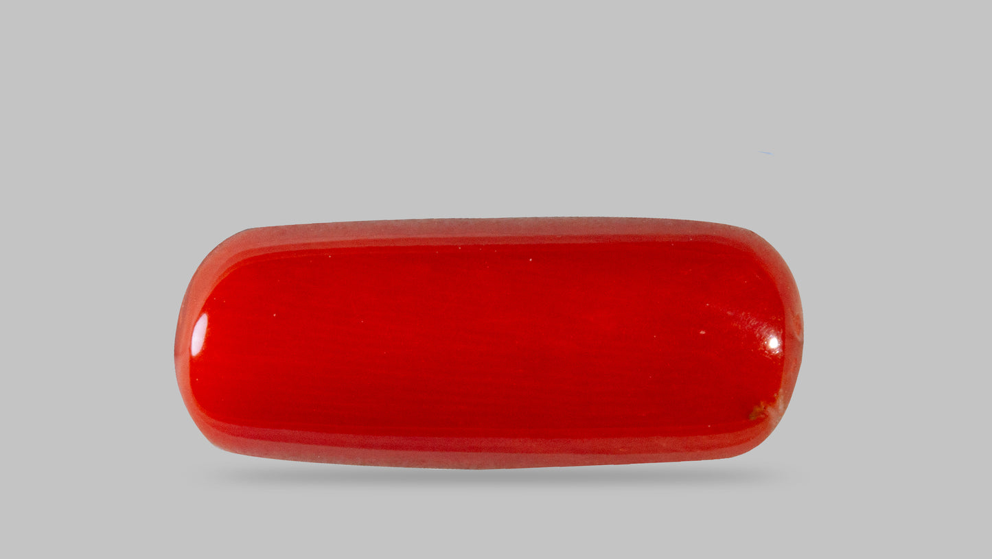 Natural Italian Red Coral (Moonga) 7.65 Carats