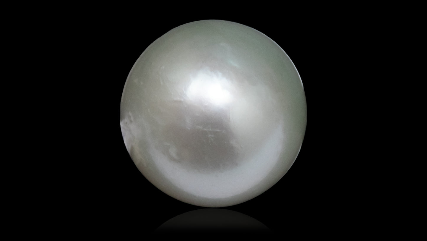 South Sea Pearl 8.81 Carats