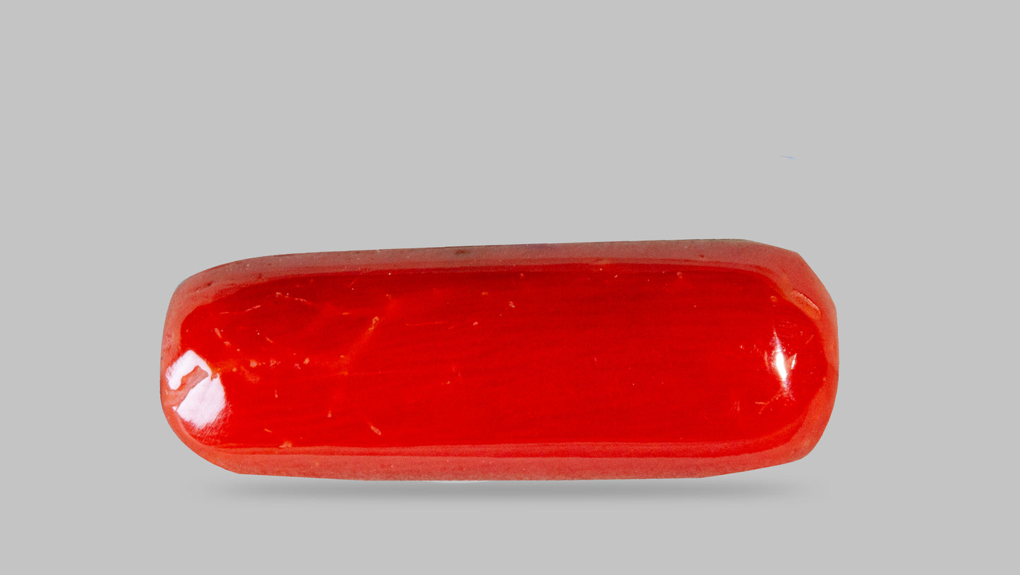 Natural Red Coral (Moonga) 7.06 Carats