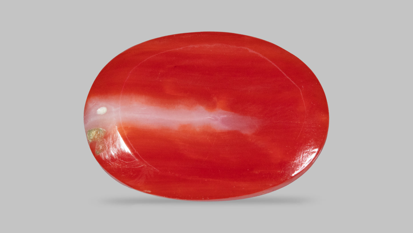 Japanese Red Coral(Moonga) 5.47 Carats