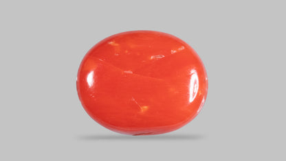 Natural Italian Red Coral (Moonga) 10.38 Carats