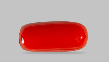 Natural Italian Red Coral (Moonga) 8.68 Carats