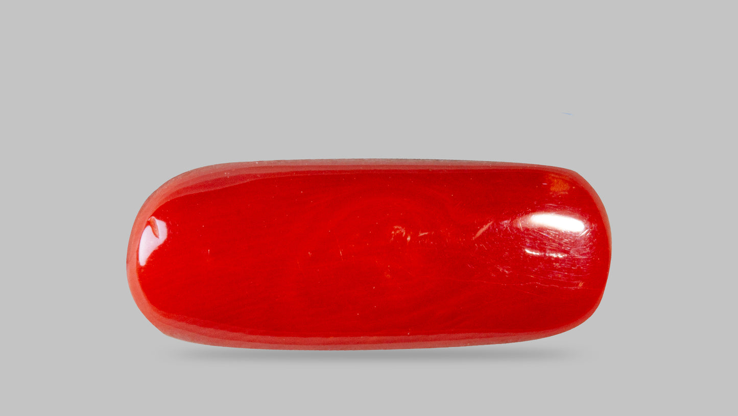 Natural Italian Red Coral (Moonga) 8.40 Carats