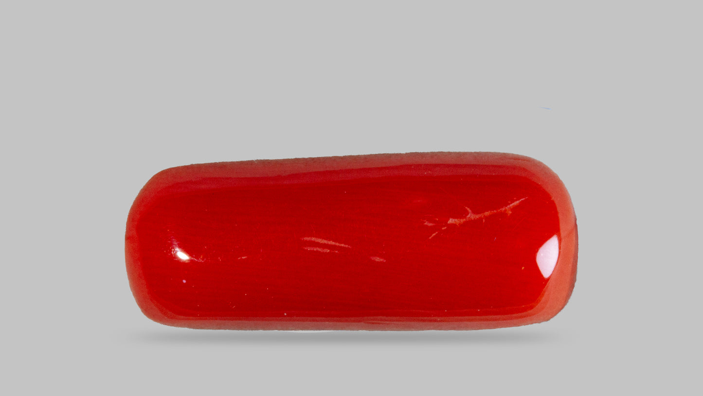 Natural Italian Red Coral (Moonga) 7.62 Carats