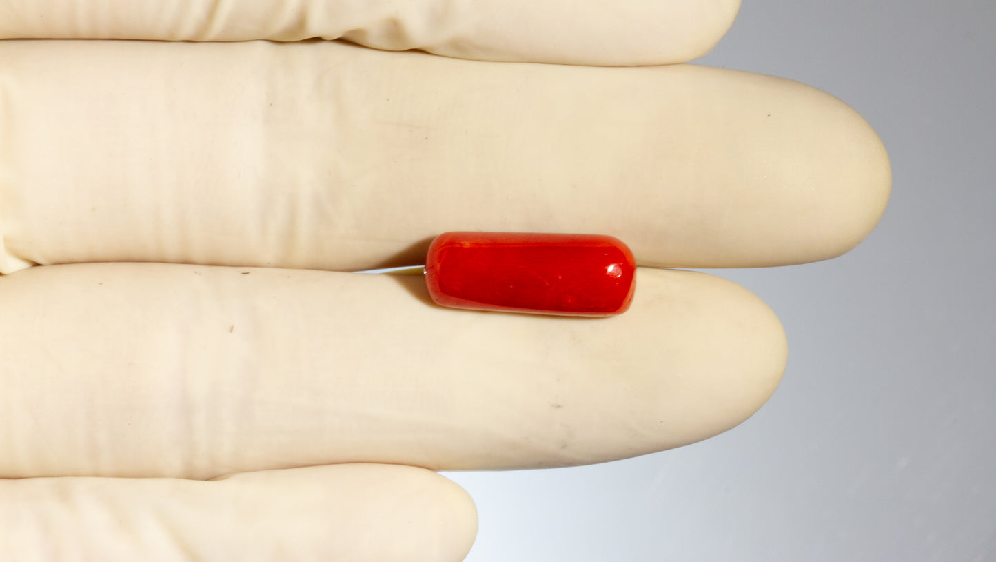 Natural Italian Red Coral (Moonga) 8.18 Carats