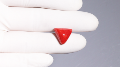 Natural Red Coral (Moonga) 8.65  Carats