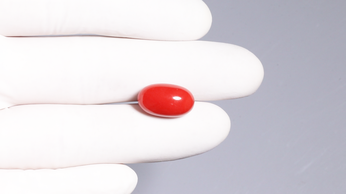 Natural Italian Red Coral (Moonga) 11.50 Carats