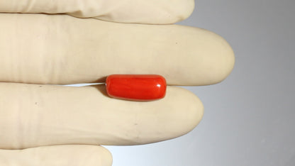 Natural Italian Red Coral (Moonga) 8.65 Carats