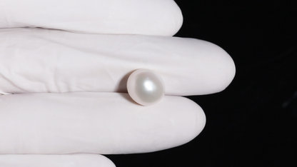 Fresh Water Pearl (Moti) 9.92 Carats