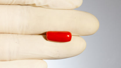 Natural Italian Red Coral (Moonga) 7.06 Carats