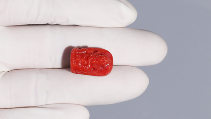 Japanese Ganesh Carving Red Coral(Moonga) 25.32 Carats