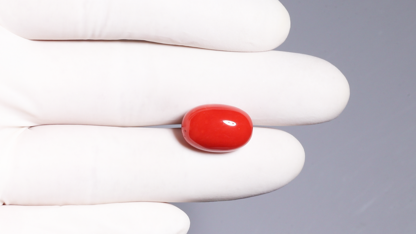 Natural Italian Red Coral (Moonga) 12.22 Carats