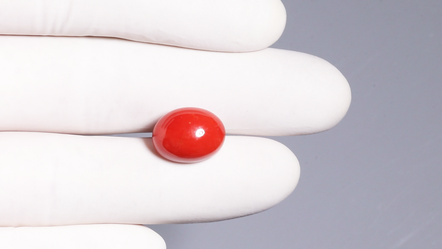 Natural Italian Red Coral (Moonga) 13.26 Carats