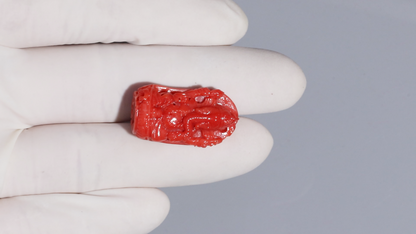 Japanese Ganesh Carving Red Coral(Moonga) 15.67 Carats