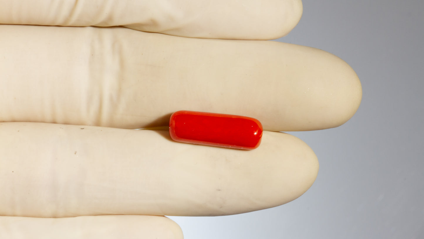 NATURAL RED CORAL (MOONGA) 7.29 CARATS