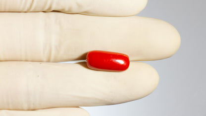 Natural Italian Red Coral (Moonga) 8.07 Carats