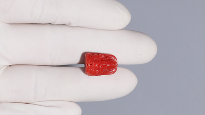 Japanese Ganesh Carving Red Coral(Moonga) 14.75 Carats