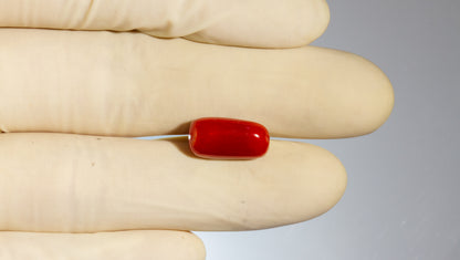 Natural Italian Red Coral (Moonga) 8.24 Carats