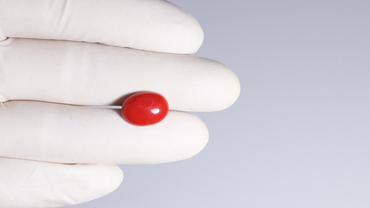 Japanese Red Coral(Moonga) 6.30 Carats