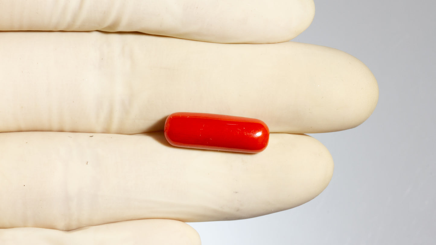 Natural Italian Red Coral (Moonga) 8.59 Carats