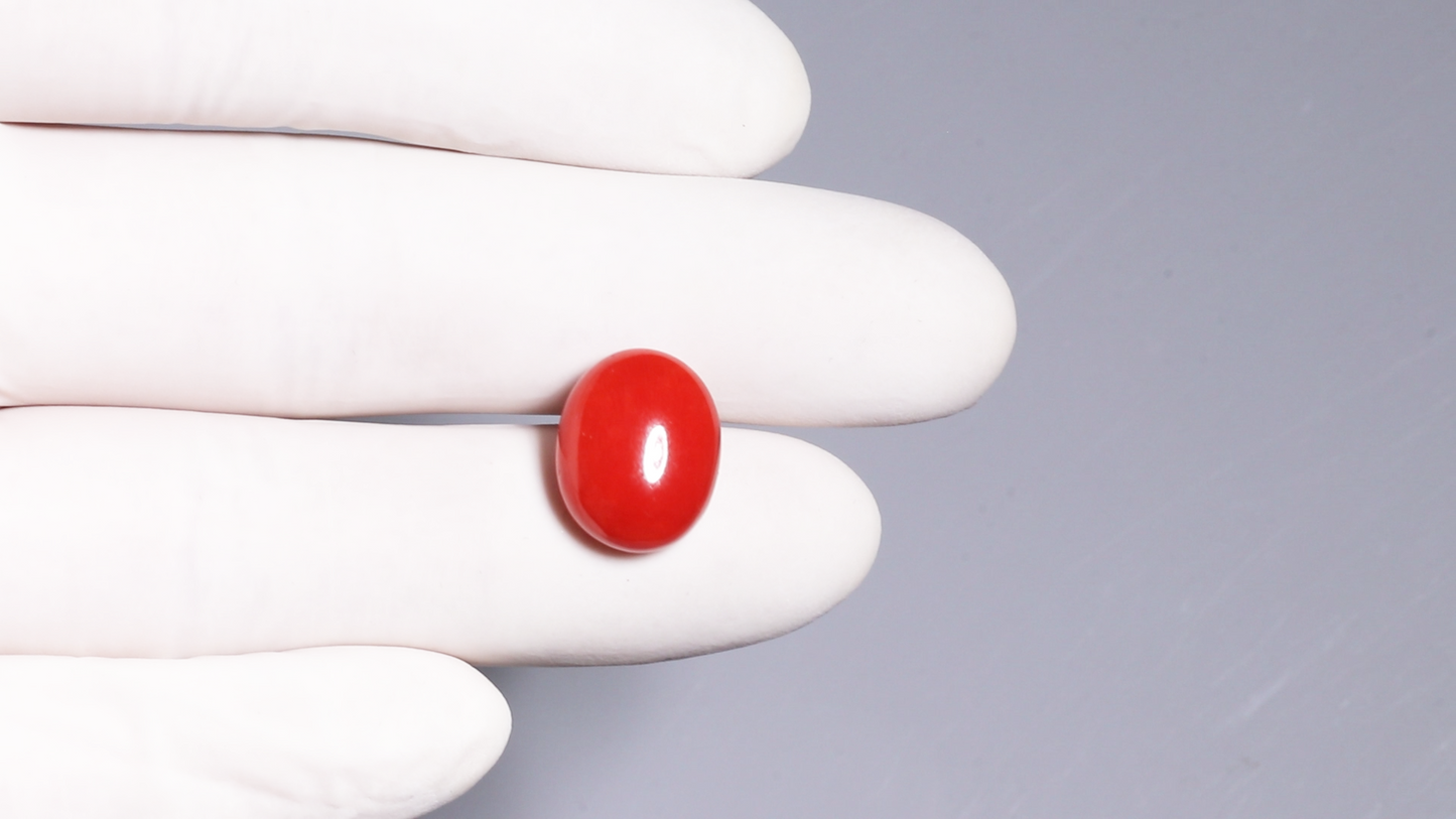 Natural Italian Red Coral (Moonga) 10.38 Carats