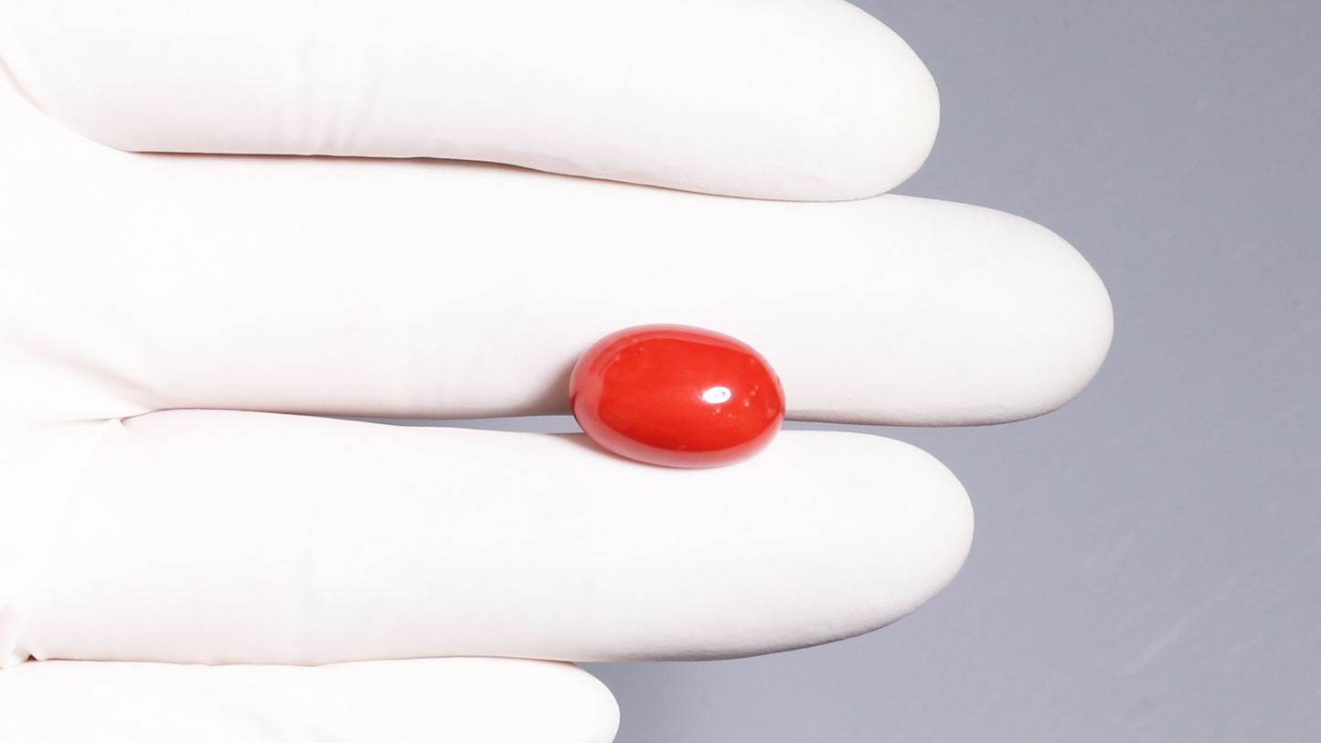 Natural Italian Red Coral (Moonga) 12.24 Carats