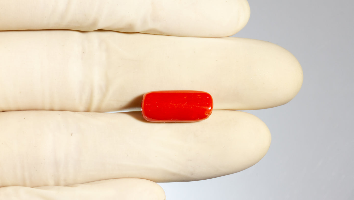 NATURAL RED CORAL (MOONGA) 8.06 CARATS