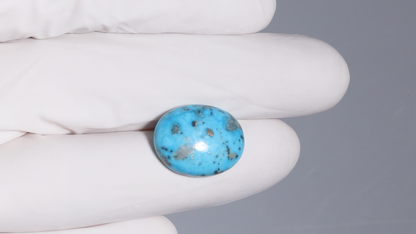 Natural Turquoise (Firoza) 14.50 Carats