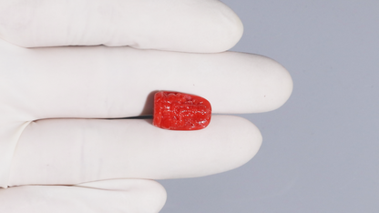 Japanese Ganesh Carving Red Coral(Moonga) 12.97 Carats