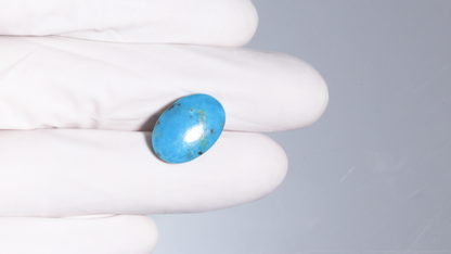 Natural Turquoise (Firoza) 9.13 Carats