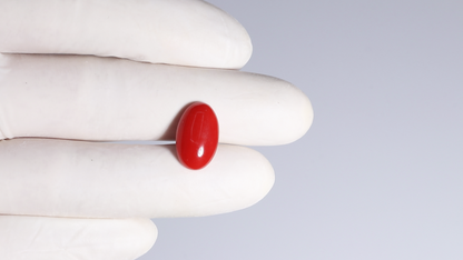 JAPANESE RED CORAL(MOONGA) 5.84 CARATS