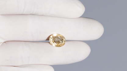 Natural Yellow Sapphire (Pukhraj) 7.54 Carats