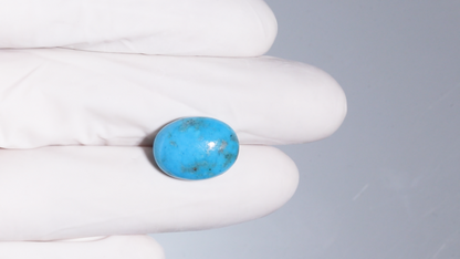 Natural Turquoise (Firoza) 13.63 Carats