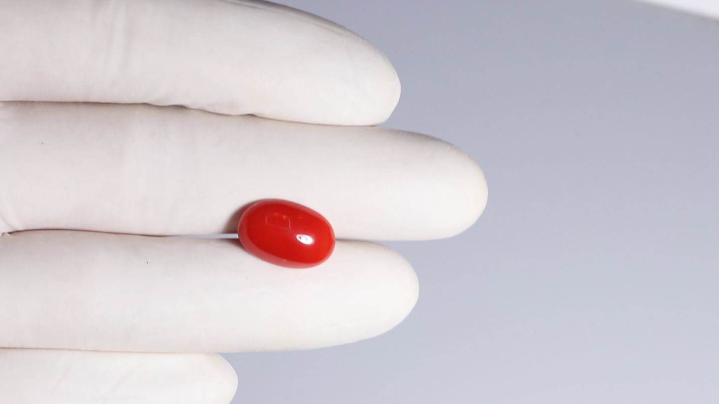 Japanese Red Coral(Moonga) 5.84 Carats