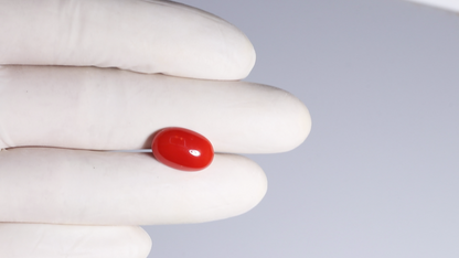 Japanese Red Coral(Moonga) 5.84 Carats