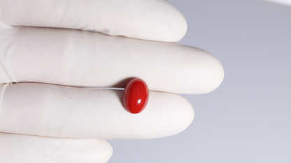 JAPANESE RED CORAL(MOONGA) 5.45 CARATS