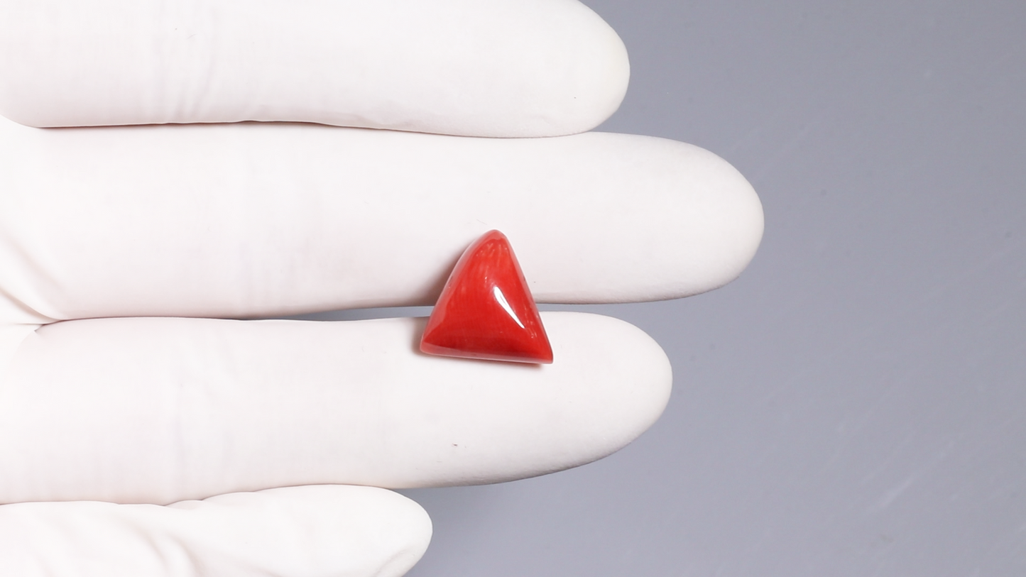 Natural Italian Red Coral (Moonga) 9.01 Carats