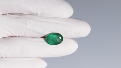 Natural Zambian Emerald (Panna) 6.53 Carats