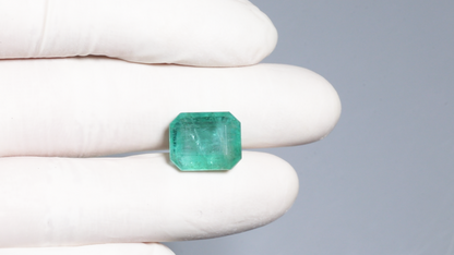 Natural Zambian Emerald (Panna) 9.98 Carats