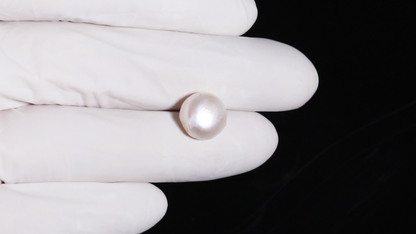 Fresh Water Pearl (Moti) 7.80 Carats