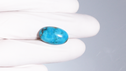 Natural Turquoise (Firoza) 16.67 Carats
