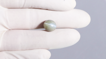 Natural Cat'S Eye (Lehsuniya) 9.32 Carats