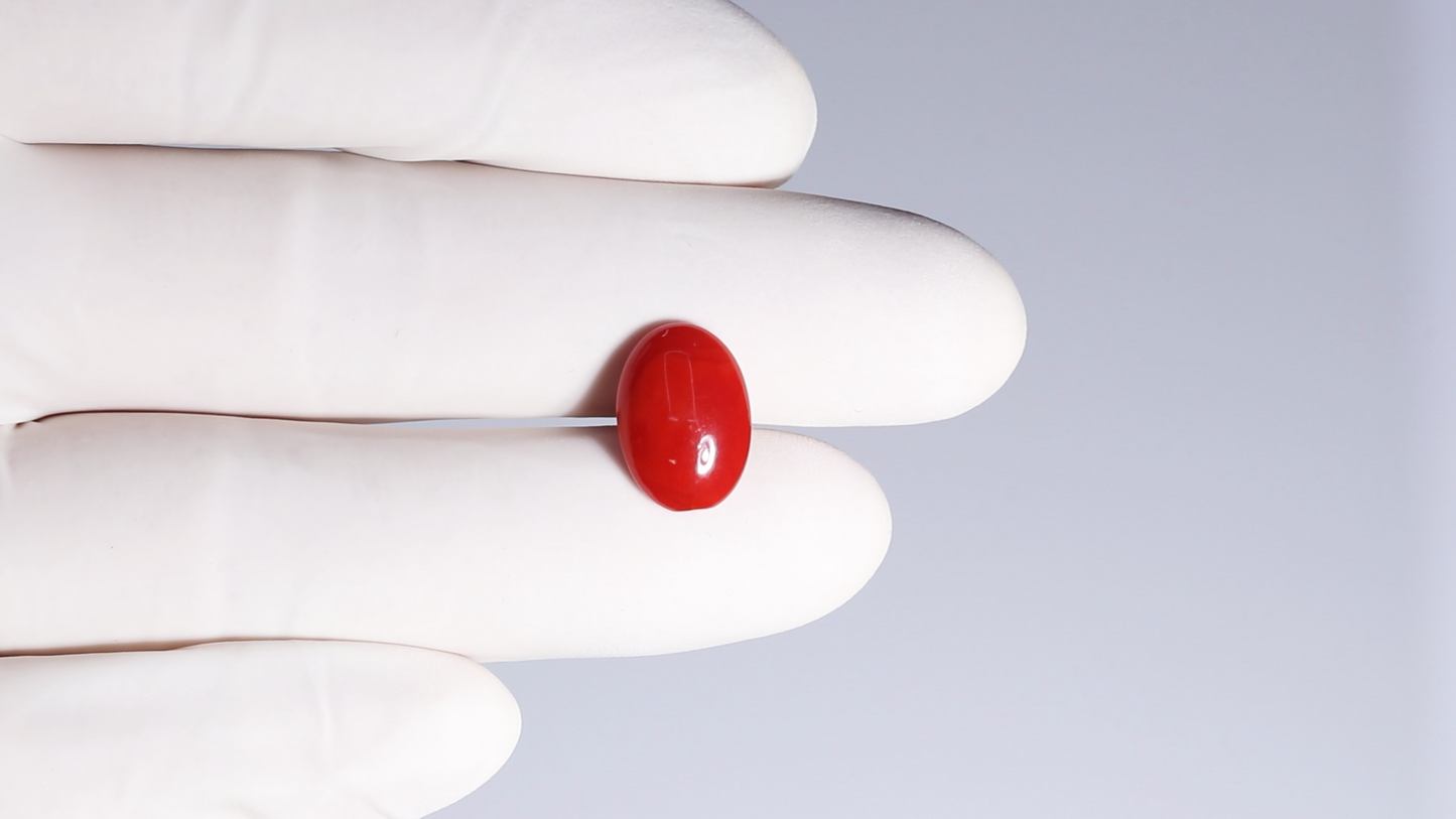 Japanese Red Coral(Moonga) 4.48 Carats