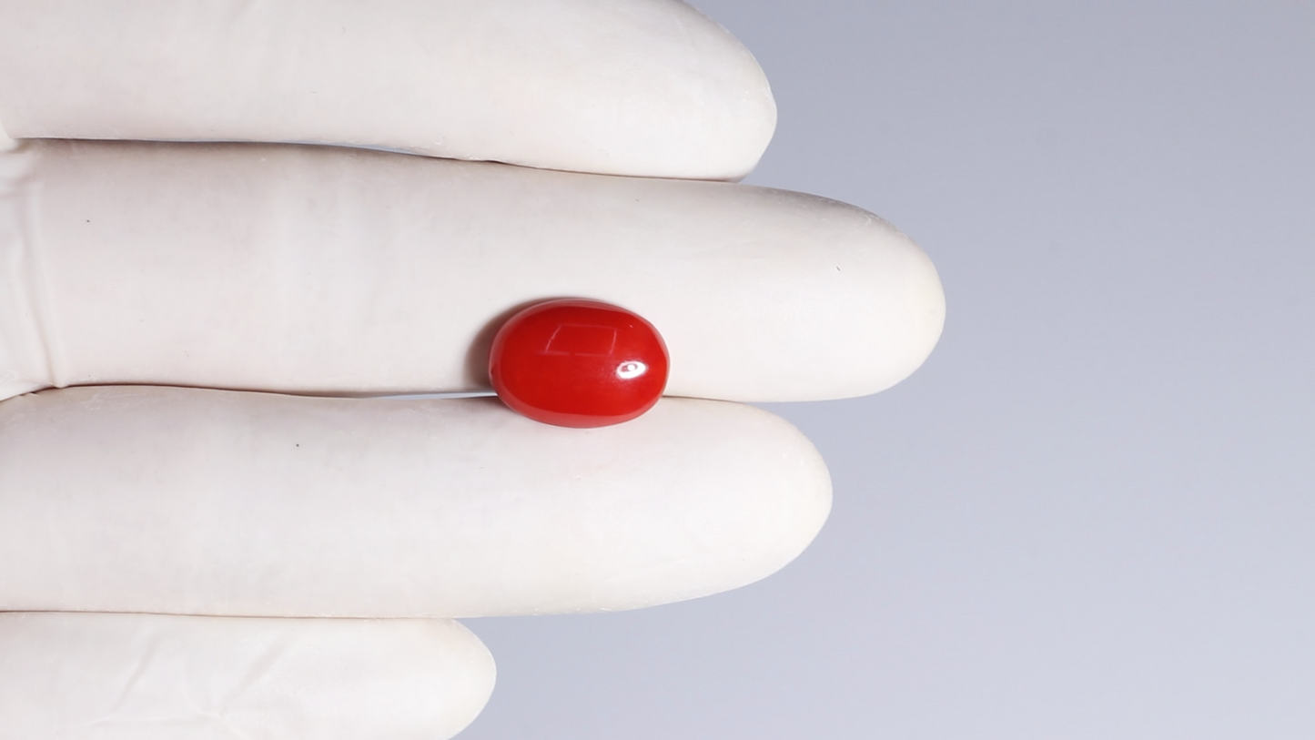Japanese Red Coral(Moonga) 4.83 Carats