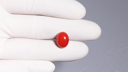 Natural Italian Red Coral (Moonga) 8.78 Carats