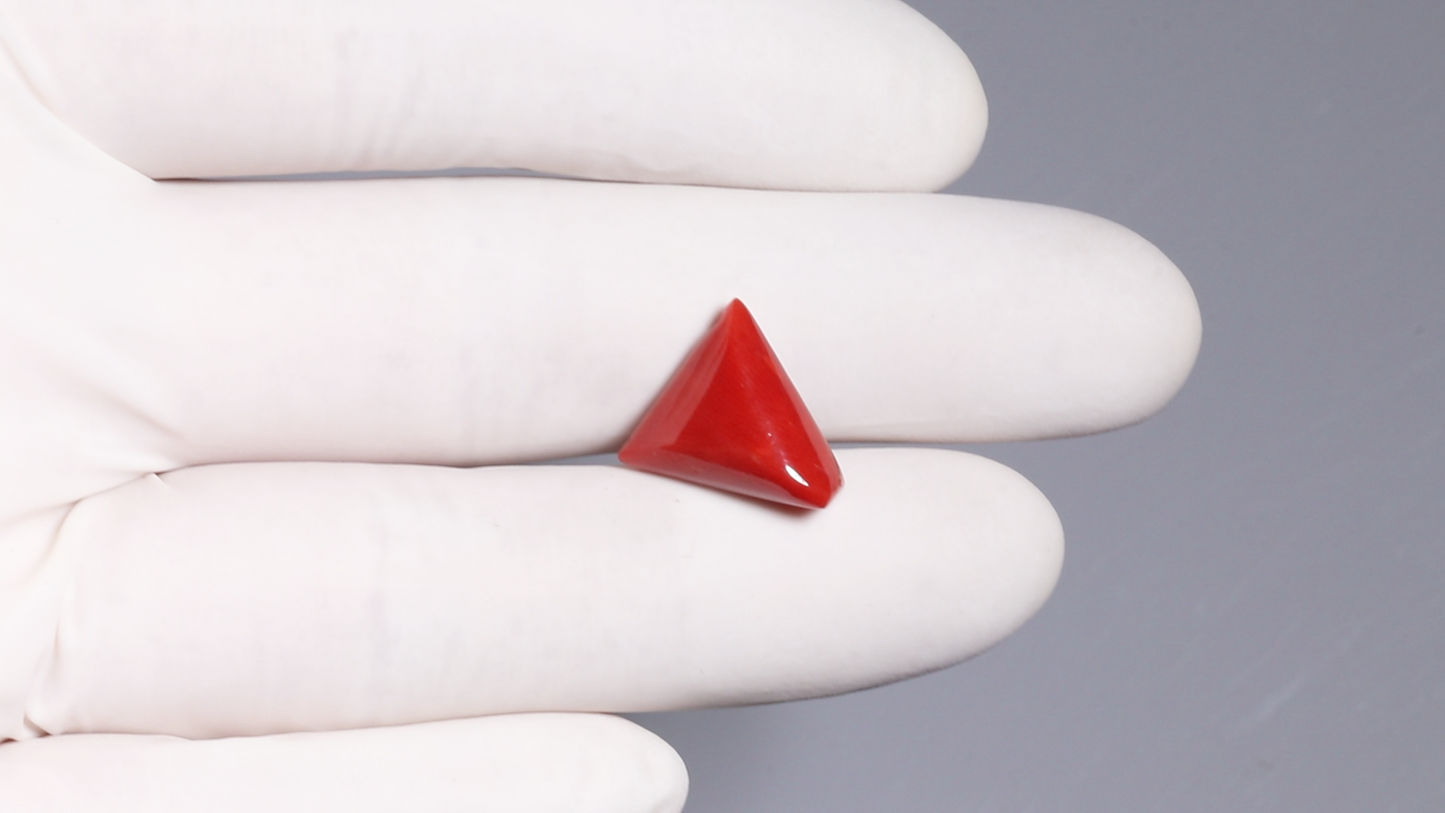 NATURAL RED CORAL (MOONGA) 8.28 CARATS