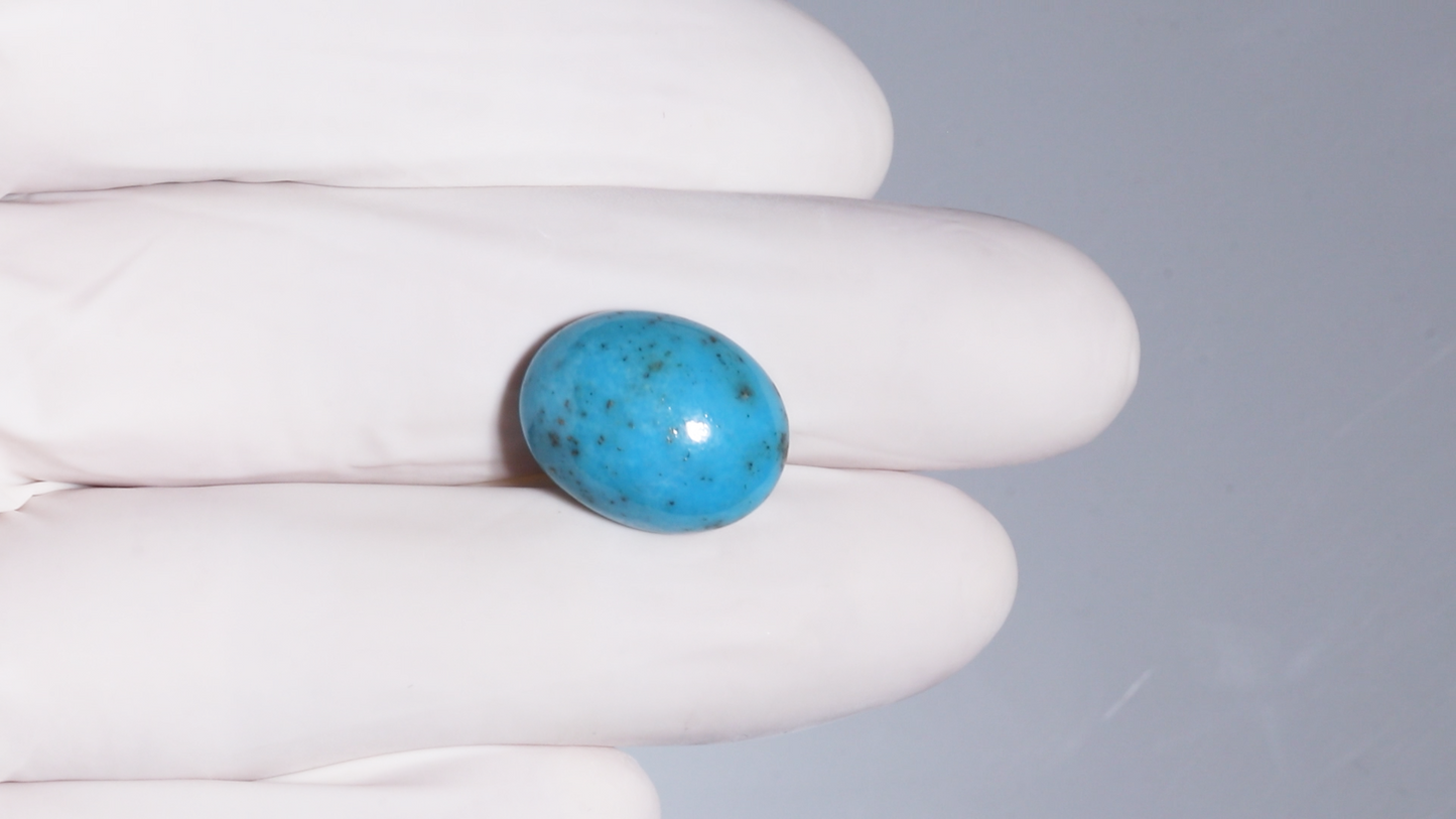 Natural Turquoise (Firoza) 12.55 Carats