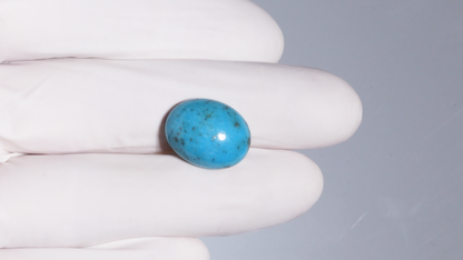 Natural Turquoise (Firoza) 12.55 Carats
