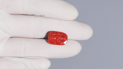 Japanese Ganesh Carving Red Coral(Moonga) 17.43 Carats