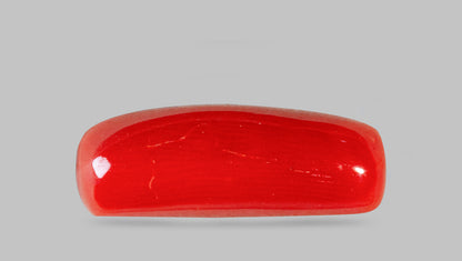 Natural Italian Red Coral (Moonga) 7.71 Carats